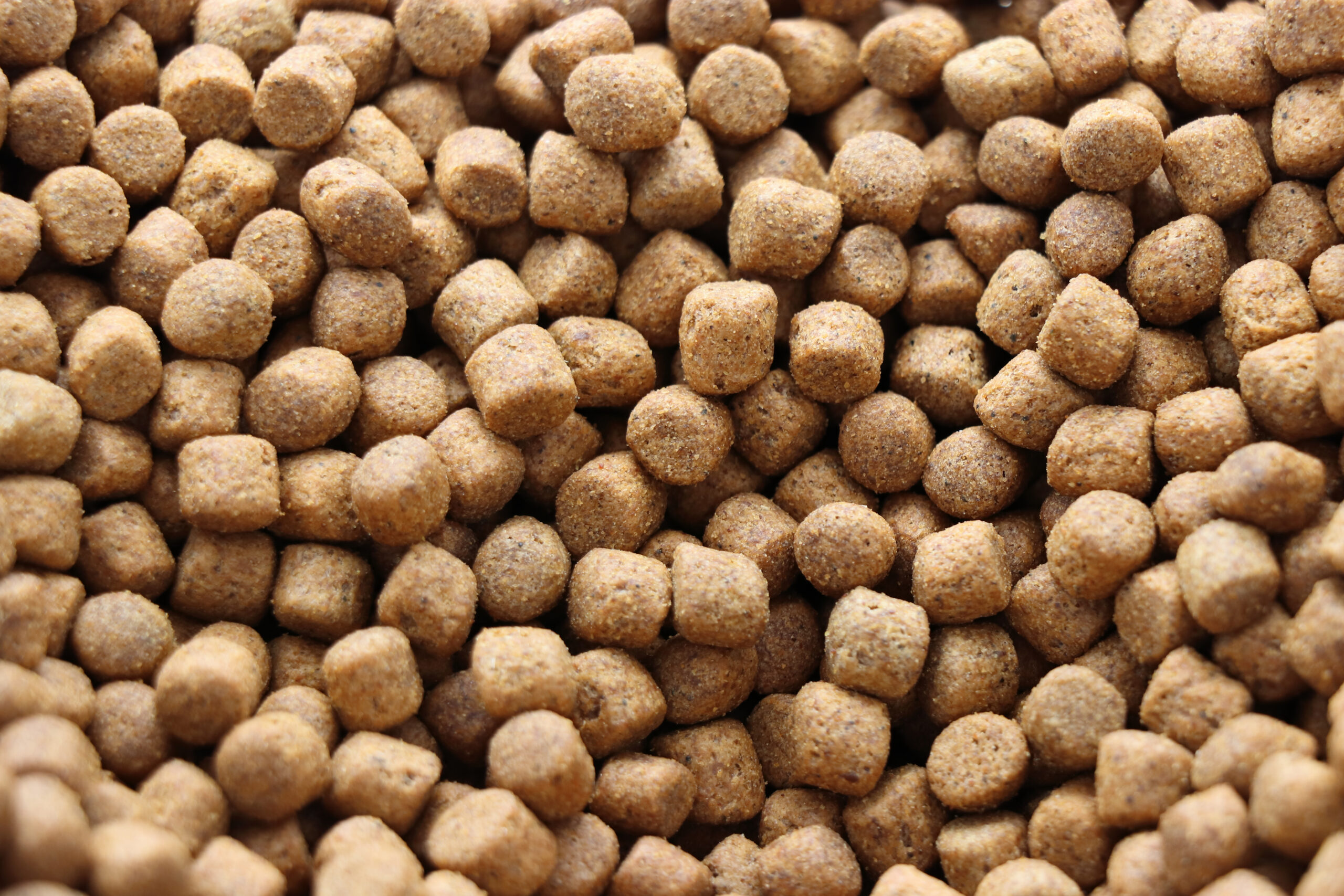 Photo,Of,Brown,Pet,Koi,Fish,Food,Pellets
